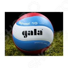 Кожаный волейбольный мяч Gala School 10
